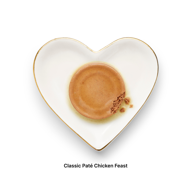 Chicken Indulgence