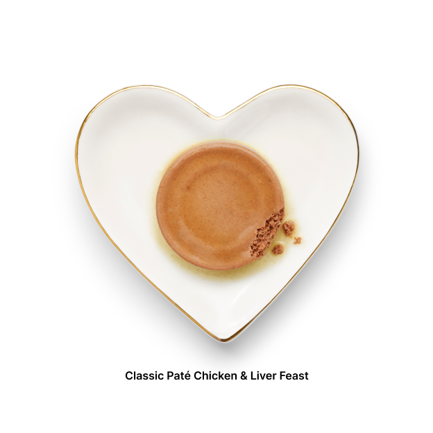 Chicken Indulgence