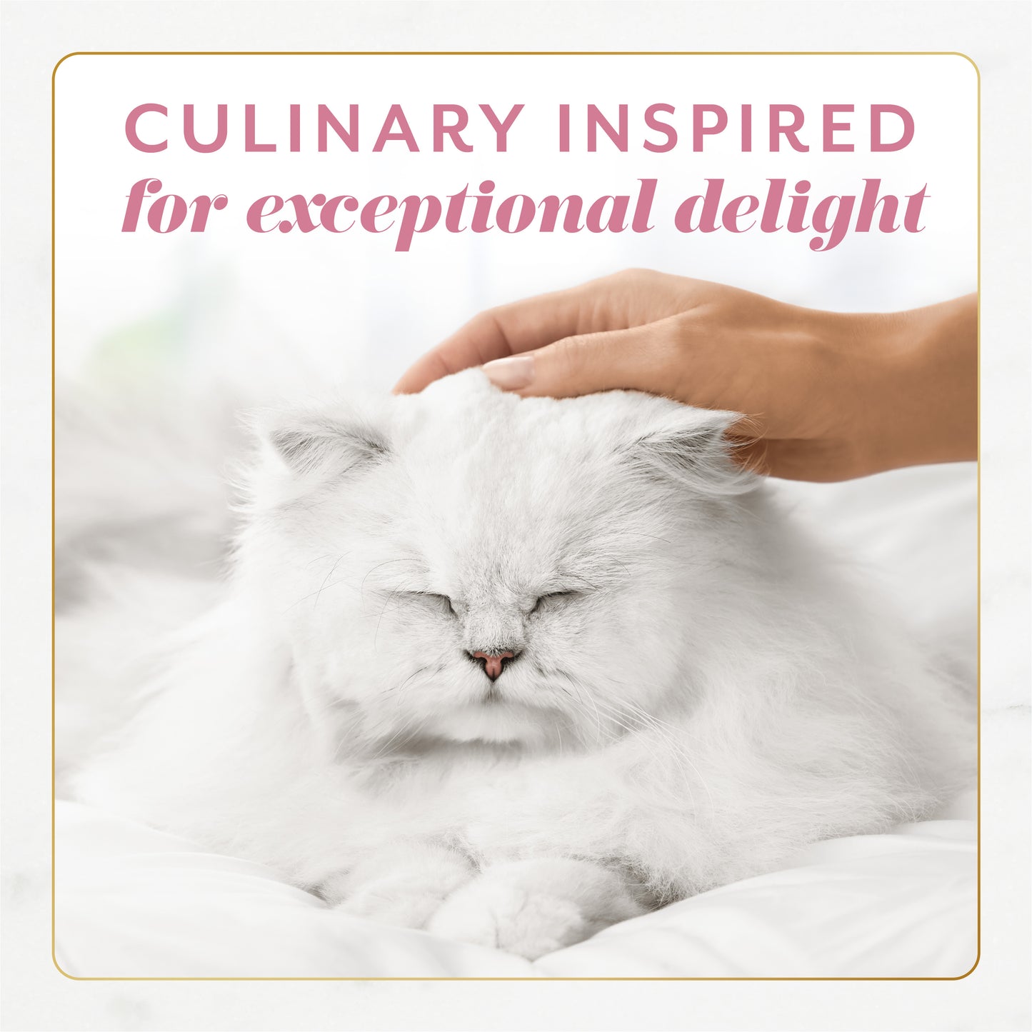Culinary inspired for exceptional delight