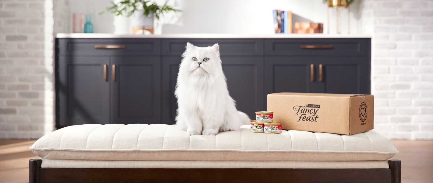 Fancy feast tastemakers clearance