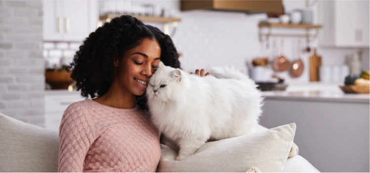 White cat and owner cuddling on couch