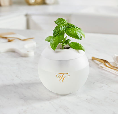 Feastivities HydroPod with basil plant