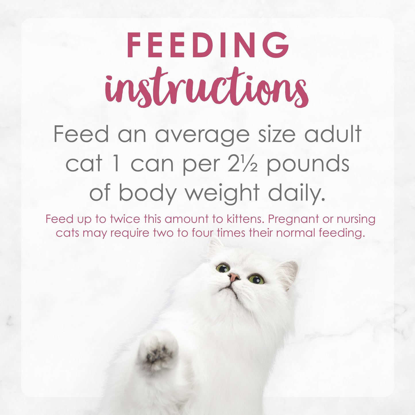 Feeding Instructions. Feed an average size adult cat 1 can per 2.5 pounds of body weight daily. Feed twice this amount to kittens. Pregnant or nursing cats may require two to four times their normal feeding.
