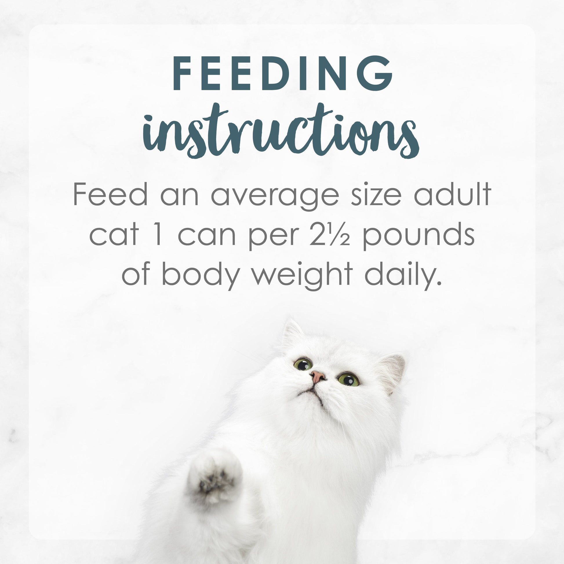 Feeding Instructions. Feed an average size adult cat 1 can per 2.5 pounds of body weight daily.
