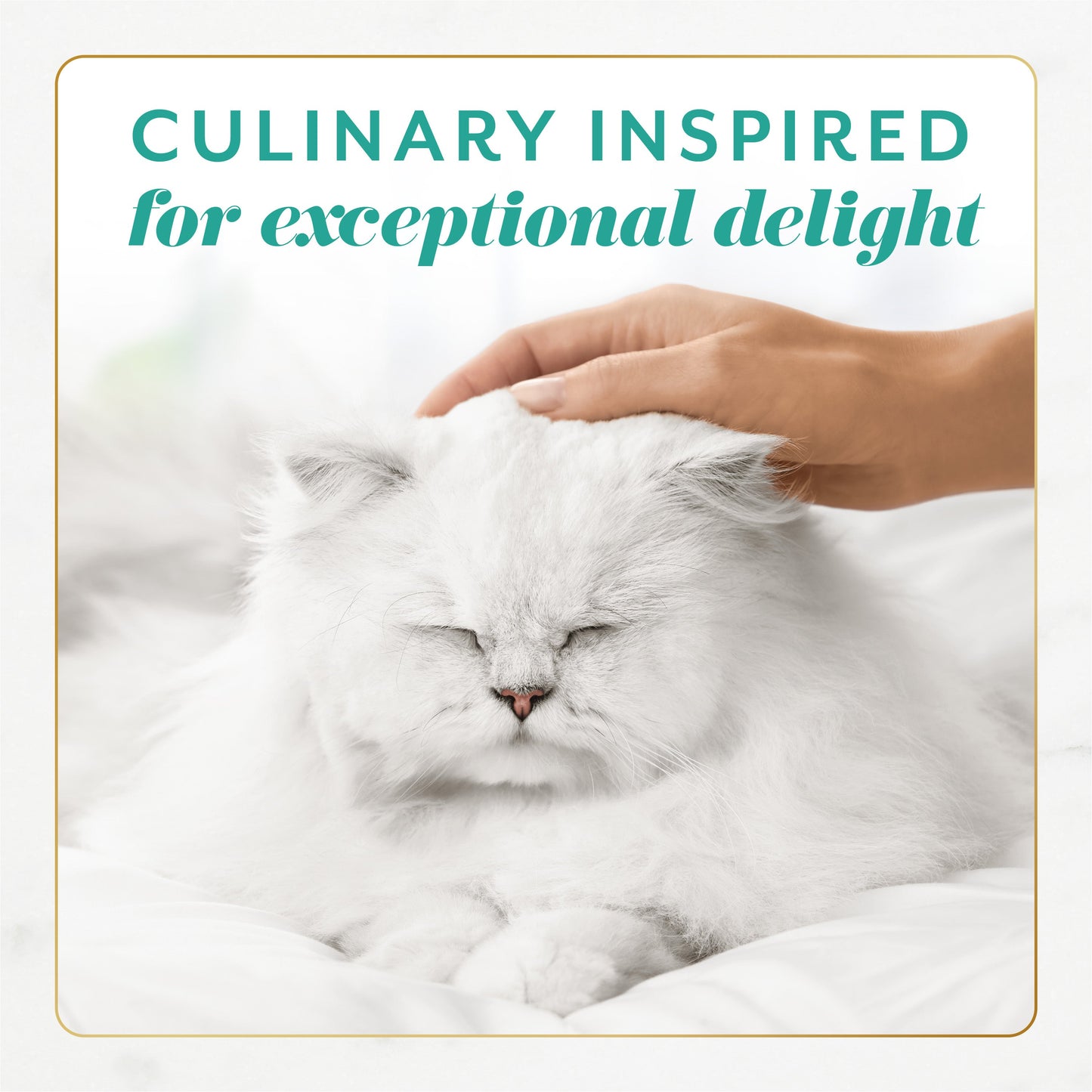 Culinary inspired for exceptional delight