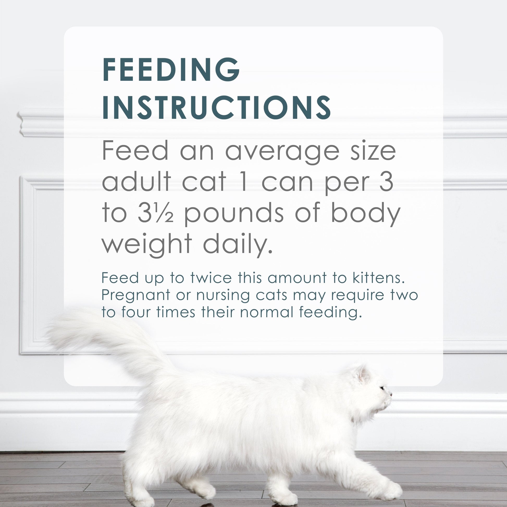 Feeding Instructions. Feed an average size adult cat 1 can per 3 to 3.5 pounds of body weight daily. Feed twice this amount to kittens. Pregnant or nursing cats may require two to four times their normal feeding.